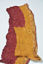 Picture of Maroon and Mustard Yellow Bandani Cotton Saree