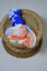 Picture of Marble White and Royal Blue Tie-Dye Chiffon Saree