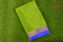 Picture of Green and Royal Blue Pure Mysore Crepe Silk Saree with Plain Body and Zari Woven Border